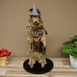 Wolpertinger, marmotte, randonneur : spécimen empaillé avec chapeau, sac à dos, foulard, bâton et gourde