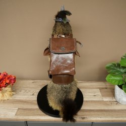 Wolpertinger, marmotte, randonneur : spécimen empaillé avec chapeau, sac à dos, foulard, bâton et gourde