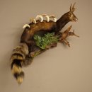 Polecat, Wolpertinger, Wolpi, Taxidermy Specimen, Deer Antlers, Boar Tusk, Height 45 cm, 86.11.4