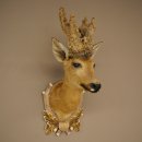 Wig Stand, Roebuck Head, Taxidermy Head, Shoulder Mount,...
