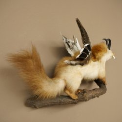 Wolpertinger : créature mythique, martre avec une peau de chamois, ailes de canard, coiffure punk, spécimen empaillé « Wolpi », hauteur 40 cm