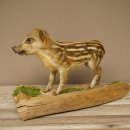 Préparation complète de marcassin, hauteur 31 cm, debout, cochon, sanglier, préparation décorative 34.2.44
