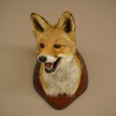 Tête de renard à museau ouvert, tête...