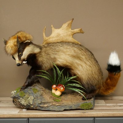 Blattire Wolpertinger Wolpi, spécimen empaillé avec une queue de renard, une coiffure punk et des dents de daim