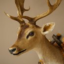 Daim (Dama dama) – Tête et épaules empaillées – Hauteur : 98 cm – Tête de cerf 85.2.44