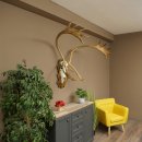 Reindeer Antlers, Caribou, Ren, Reindeer Antlers, Skull Trophy on a Carved Trophy Shield 78.40