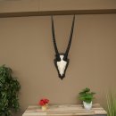 Oryx (Oryx gazella) Antilope HL 80 cm Hoorns los Spiesbok Afrika Schedeltrofee Schild 88.3.118