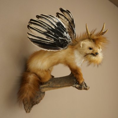 Wolpertinger, créature mythique : martre ailée, bois de chevreuil, barbe, spécimen empaillé « Wolpi », hauteur 52 cm