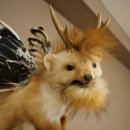Wolpertinger, créature mythique : martre...