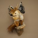 Wolpertinger, créature mythique : martre ailée, bois de chevreuil, barbe, spécimen empaillé « Wolpi », hauteur 52 cm