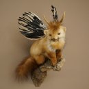 Wolpertinger, créature mythique : martre ailée, bois de chevreuil, barbe, spécimen empaillé « Wolpi », hauteur 52 cm