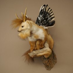 Wolpertinger, créature mythique : martre ailée, bois de chevreuil, barbe, spécimen empaillé « Wolpi », hauteur 52 cm