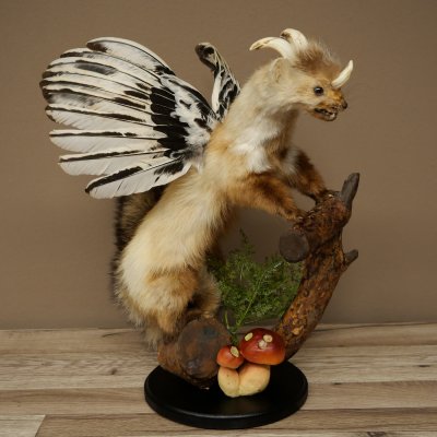 Wolpertinger, créature mythique : martre ailée à cornes. Modèle naturalisé « Wolpi », hauteur 49 cm