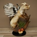 Wolpertinger, créature mythique : martre...