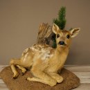 Taxidermie de faon couché sur un socle décoratif « Faon », hauteur 34 cm, taxidermie Bambi 89.11.81