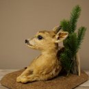 Taxidermie de faon couché sur un socle décoratif « Faon », hauteur 34 cm, taxidermie Bambi 89.11.81