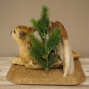 Taxidermie de faon couché sur un socle décoratif « Faon », hauteur 34 cm, taxidermie Bambi 89.11.81