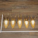 5 bois de chevreuil, ensemble de bois de chevreuil mâle sur socles pour trophées 21.502