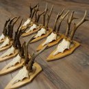 10 paires de bois de chevreuil (mâles âgés) – Lot de bois de chevreuil mâle sur socles de trophées 21.503