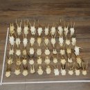 Loose deer antlers, 51 pieces, for hobbyists, Deer Set...