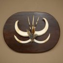 Warthog, Weapons, Tusk, Boar, Armed, Africa, Trophy...