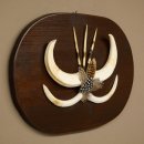 Warthog, Weapons, Tusk, Boar, Armed, Africa, Trophy...