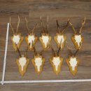 9 Roe Deer Antlers, Roe Deer Bucks on Trophy Plates, Roe...