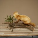 Marten, Stone Marten, Taxidermy Specimen, Standing Display, Decorative, Height 34 cm, Taxidermy Specimen 89.5.254