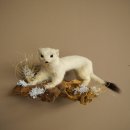 Ermine Weasel Winter Fur, Height 14 cm, Taxidermy Specimen 89.1.59