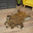 Wildschweinfell Keiler Fell Schwarzwild Schwarte...