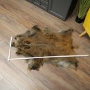 Wildschweinfell Keiler Fell Schwarzwild Schwarte Sauschwarte Vorleger Länge 107 cm 87.6.47