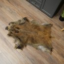Wildschweinfell Keiler Fell Schwarzwild Schwarte Sauschwarte Vorleger Länge 107 cm 87.6.47