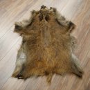 Wildschweinfell Keiler Fell Schwarzwild Schwarte Sauschwarte Vorleger Länge 107 cm 87.6.47