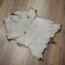 Wildschweinfell Keiler Fell Schwarzwild Schwarte Sauschwarte Vorleger Länge 107 cm 87.6.47