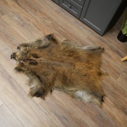 Wildschweinfell Keiler Fell Schwarzwild Schwarte Sauschwarte Vorleger Länge 107 cm 87.6.47