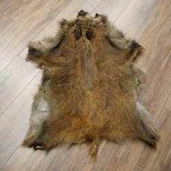 Wildschweinfell Keiler Fell Schwarzwild Schwarte Sauschwarte Vorleger Länge 107 cm 87.6.47