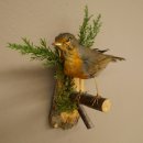 Roodborstje, opgezette vogel, opgezette zangvogel, opgezette vogel met vergunning voor het in de handel brengen