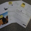 TAHR Himalaya Thar Ziege Ganzpräparat aus Neuseeland...