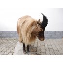 TAHR Himalaya Thar Ziege Ganzpräparat aus Neuseeland mit VMG (Hemitragus jemlahicus)