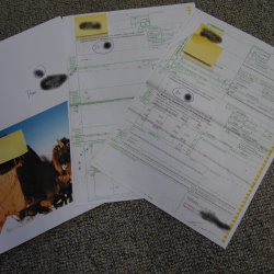 TAHR Himalaya Thar Ziege Ganzpräparat aus Neuseeland mit VMG (Hemitragus jemlahicus)