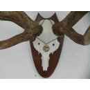 kapitales ROTHIRSCH Geweih Hirschgeweih 10 Ender mit Deko Bronzemedallie