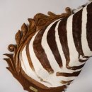 wunderschönes ZEBRA Steppenzebra Kopf Schulter Präparat Afrika Kopfpräparat