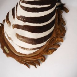 wunderschönes ZEBRA Steppenzebra Kopf Schulter Präparat Afrika Kopfpräparat