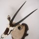großartiges Oryx (Oryx gazella) Afrika Kopf Präparat Antilope Spießbock, Höhe 147cm