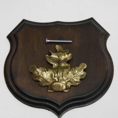 1x Wappenschild Wildschwein Troph&auml;enschild Wappenform, AF 15cm, mit Eichenlaub Deckblatt massiv + gro&szlig;