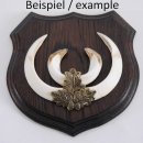 1x Wappenschild Keilerschild Wappenform Keiler Schild Wildschwein Troph&auml;enschild, mittel AF 17cm