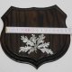 1x Wappenschild Wildschwein Trophäenschild Wappenform, AF 15cm, mit Eichenlaub Deckblatt silberfarben