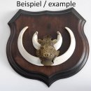 1x Wappenschild Wildschwein Troph&auml;enschild Wappenform, AF 15cm, mit Keiler Kopf Abdeckung klein