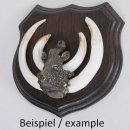 1x Wappenschild Wildschwein Trophäenschild Wappenform, AF 17cm, mit Keiler Kopf Abdeckung groß
