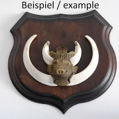 3x Wappenschild Wildschwein Troph&auml;enschild Wappenform, AF 15cm, mit Keiler Kopf Abdeckung klein